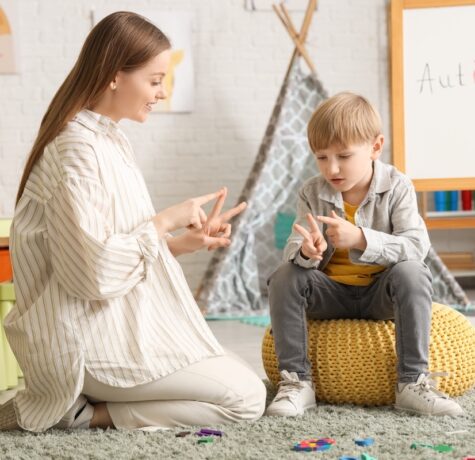 OPWDD vs Special Education Comparison